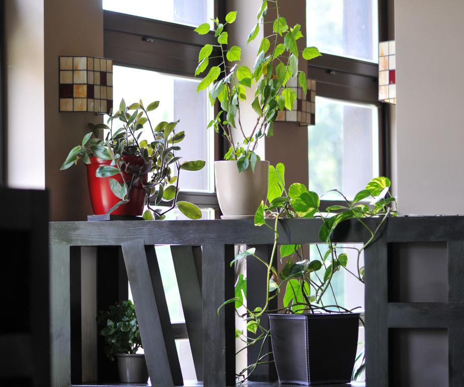 Boutique Hotel Sudetia - Medical & Spa Świeradów-Zdrój Kültér fotó